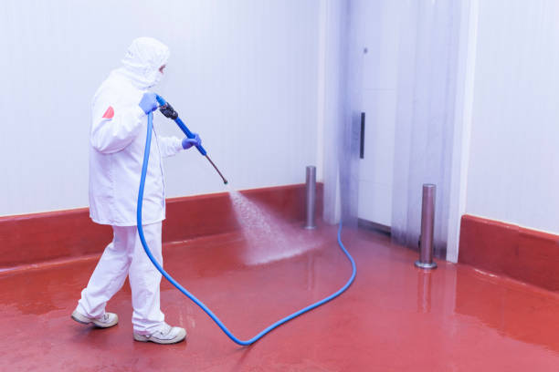 Best Pre-Holiday Cleaning  in Wilmore, KY